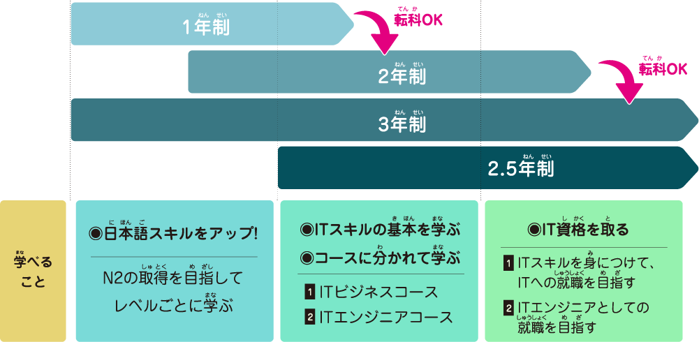 カリキュラム
